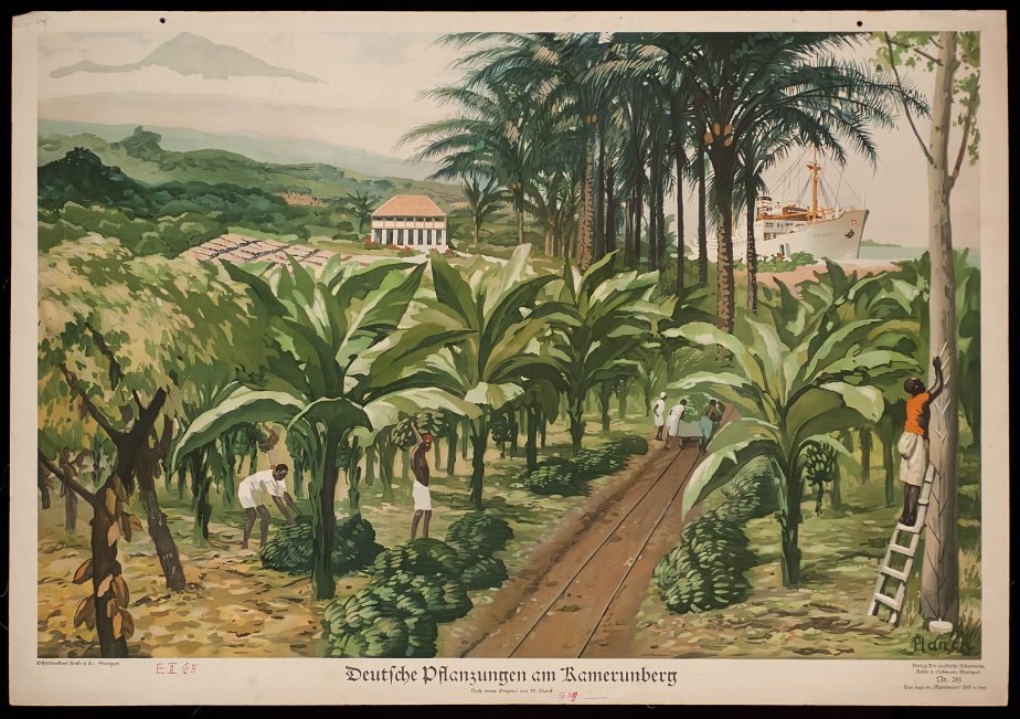 German plantations at Mount Cameroon